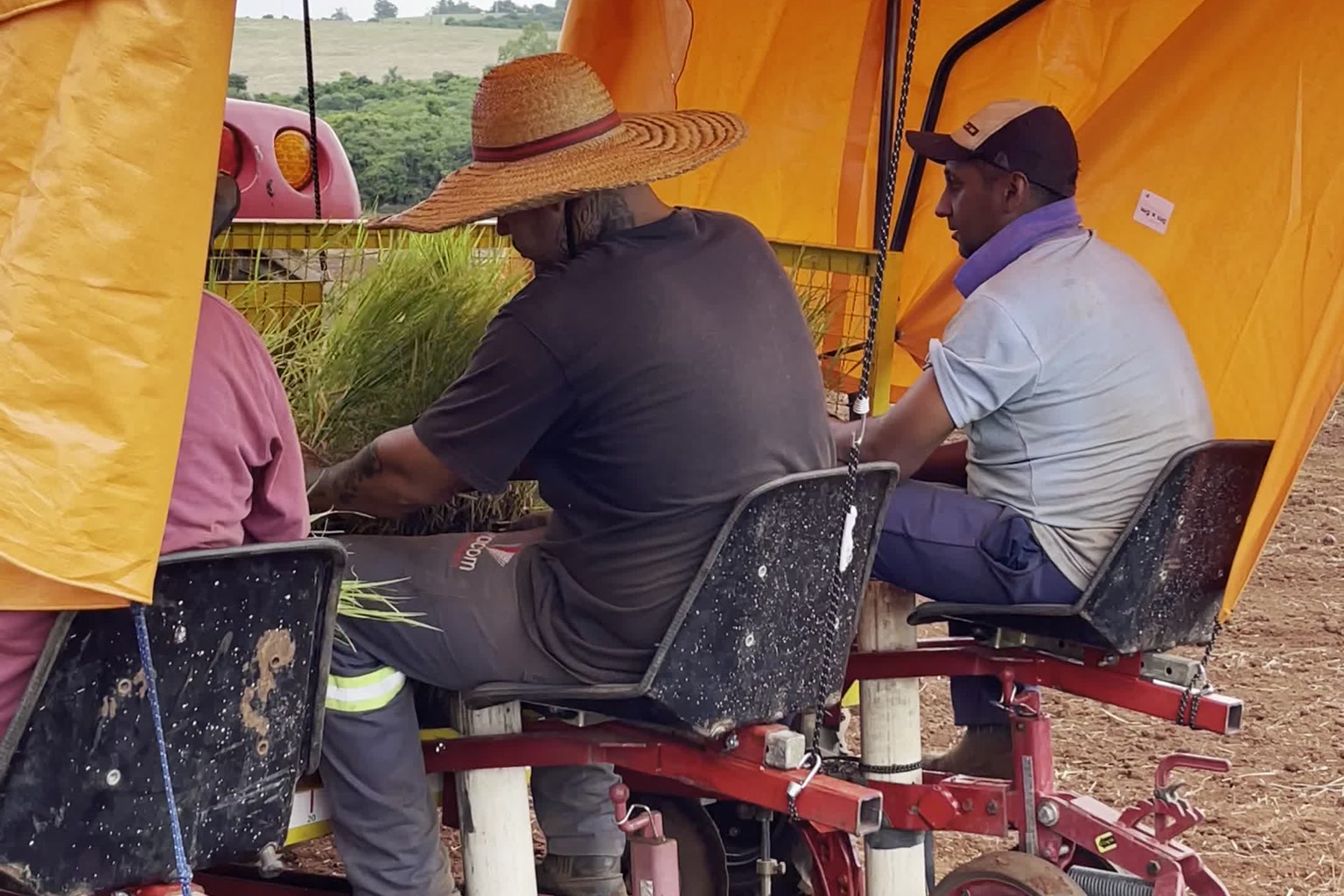 Close da plantadeira de Tifton desenvolvida pela Xiru Mudas em ação no campo